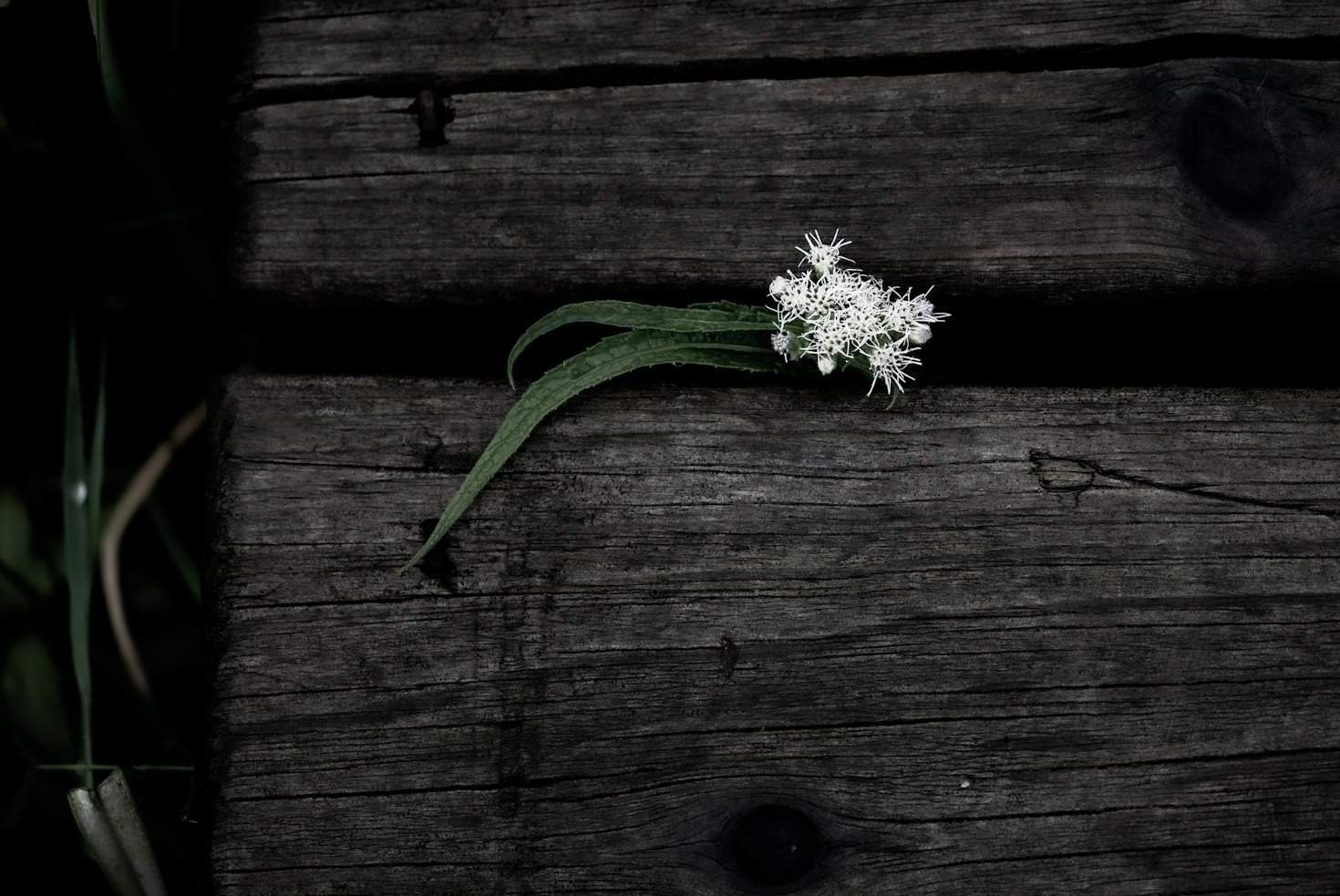 The Role of Discomfort in Personal Health Transformation