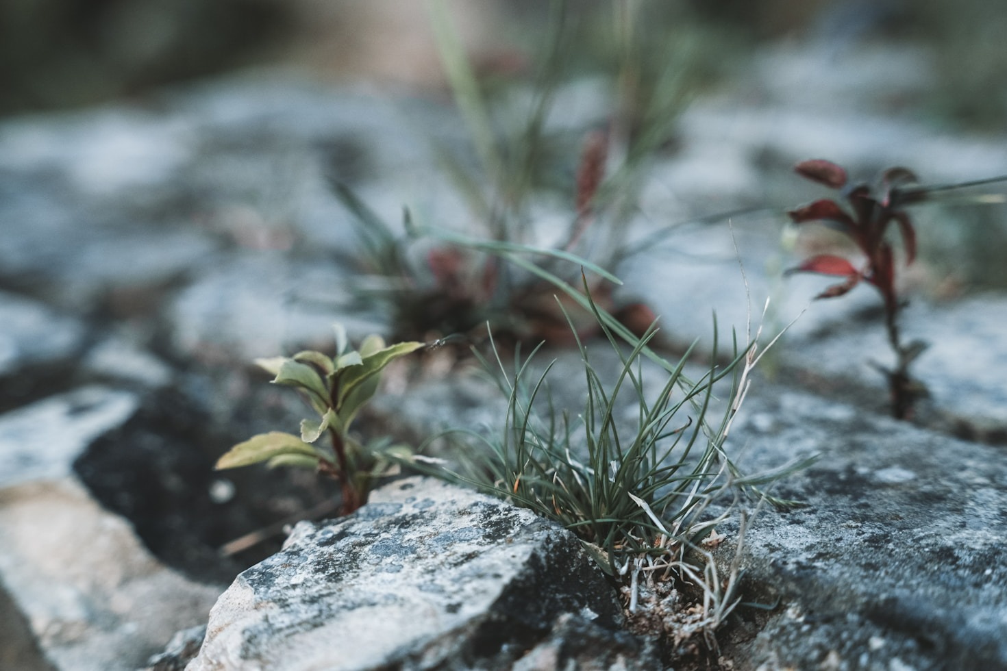 Building Mental Strength in Uncertain Times