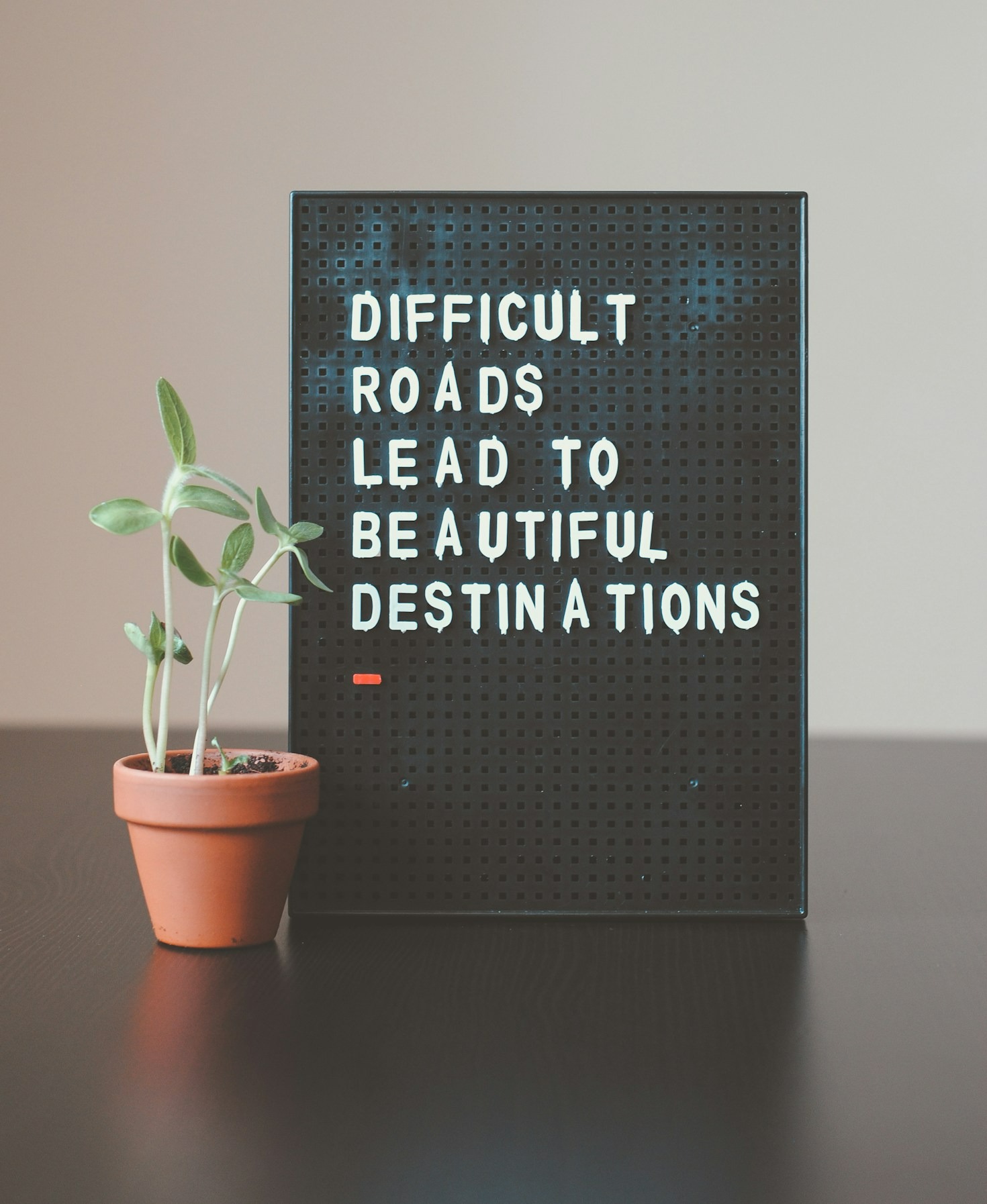 Techniques to Stay Agile in Your Career Path